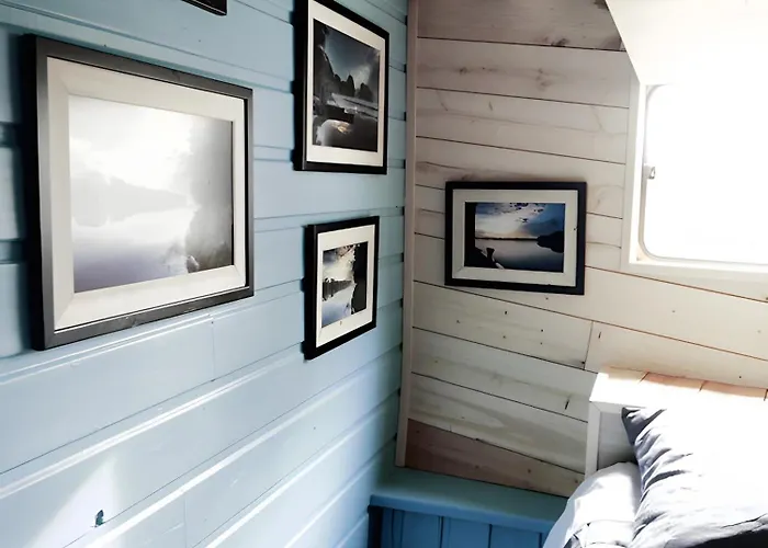 Toue Cabanee Au Bord D'un Etang Botel